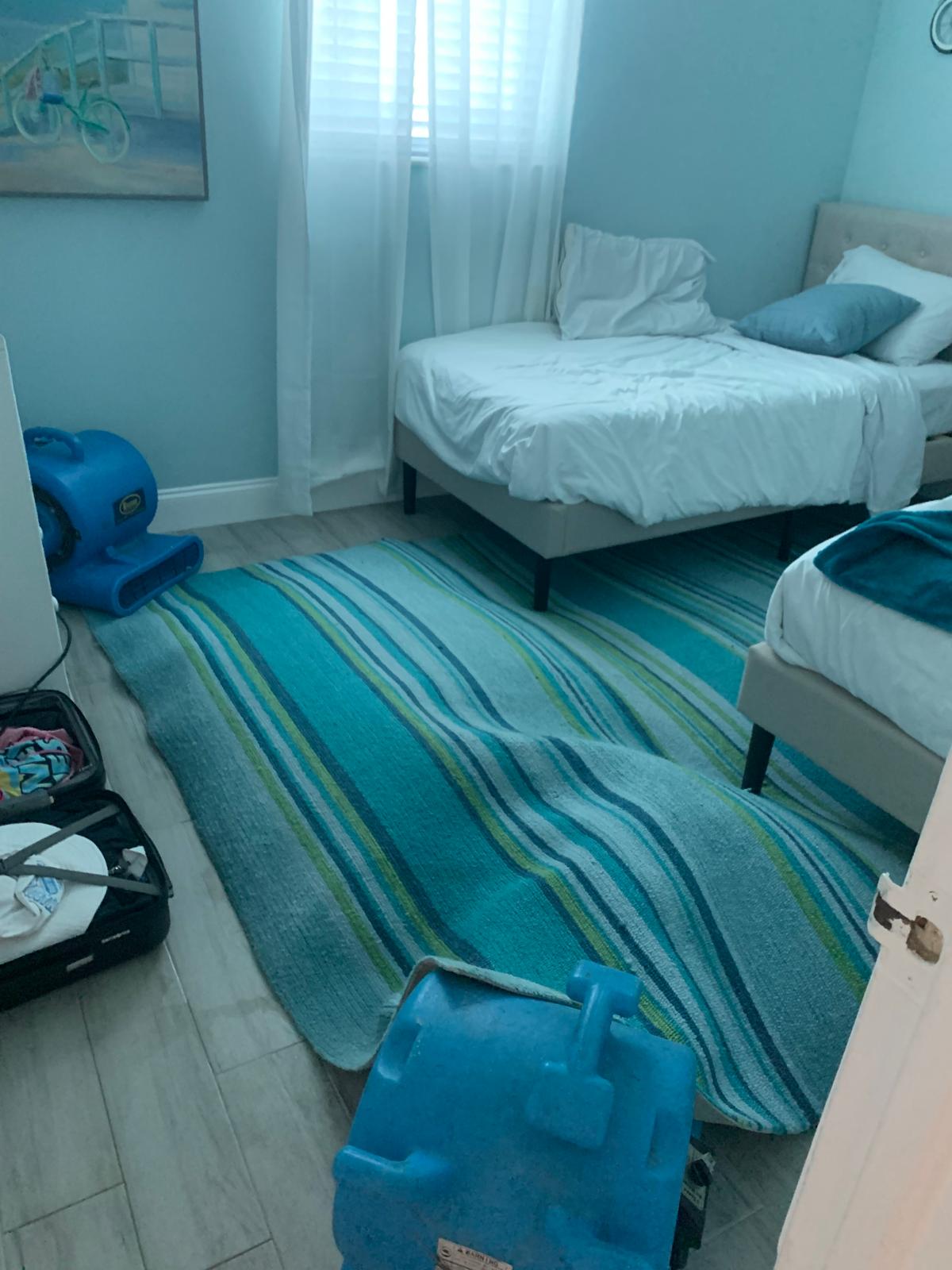 Bright room with freshly cleaned carpet and drying equipment